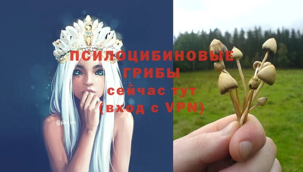 2c-b Балабаново